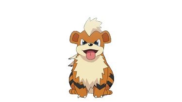 My pet dog